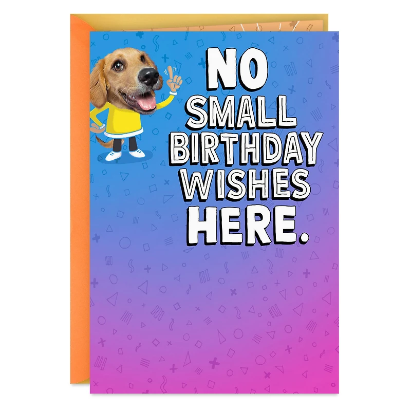 Silly Dog Funny Pop-Up Birthday Card for only USD 4.99 | Hallmark