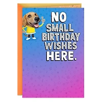 Silly Dog Funny Pop-Up Birthday Card for only USD 4.99 | Hallmark