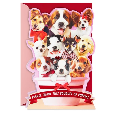 Bouquet of Puppies Funny Valentine's Day Card for only USD 7.99 | Hallmark
