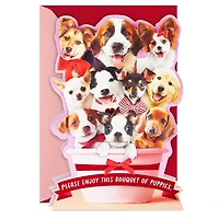 Bouquet of Puppies Funny Valentine's Day Card for only USD 7.99 | Hallmark