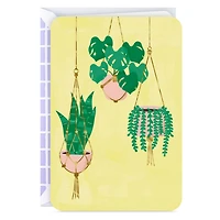 Houseplants in Hanging Baskets Blank Card for only USD 2.99 | Hallmark