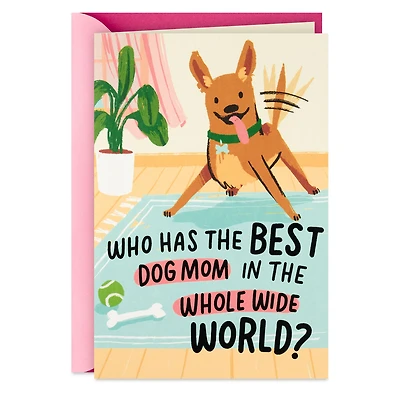 You're the Best Funny Pop-Up Mother's Day Card From the Dog for only USD 4.99 | Hallmark