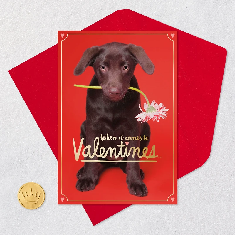 I Chews You Funny Valentine's Day Card for only USD 2.50 | Hallmark