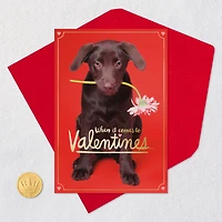 I Chews You Funny Valentine's Day Card for only USD 2.50 | Hallmark