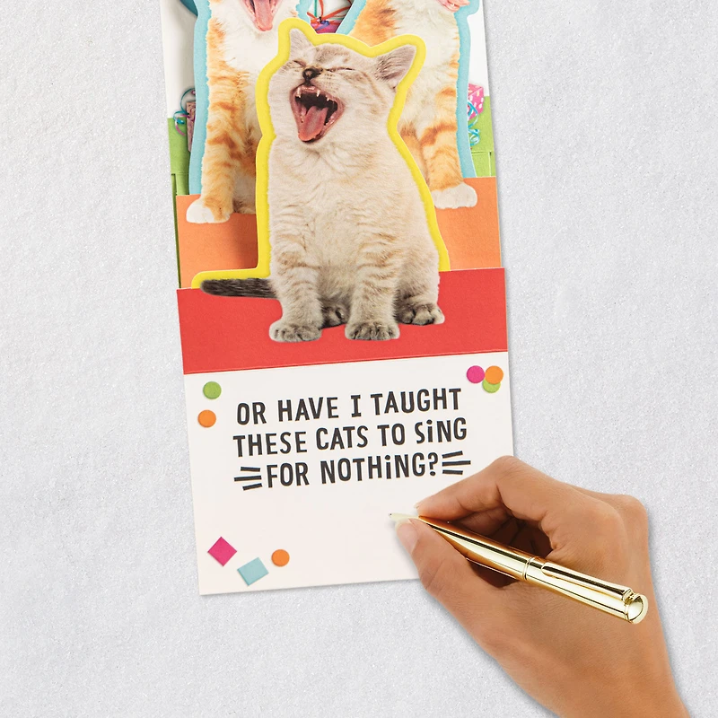 Singing Cats Funny Musical Pop-Up Birthday Card for only USD 7.59 | Hallmark