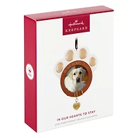 In Our Hearts to Stay 2025 Photo Frame Ornament for only USD 24.99 | Hallmark