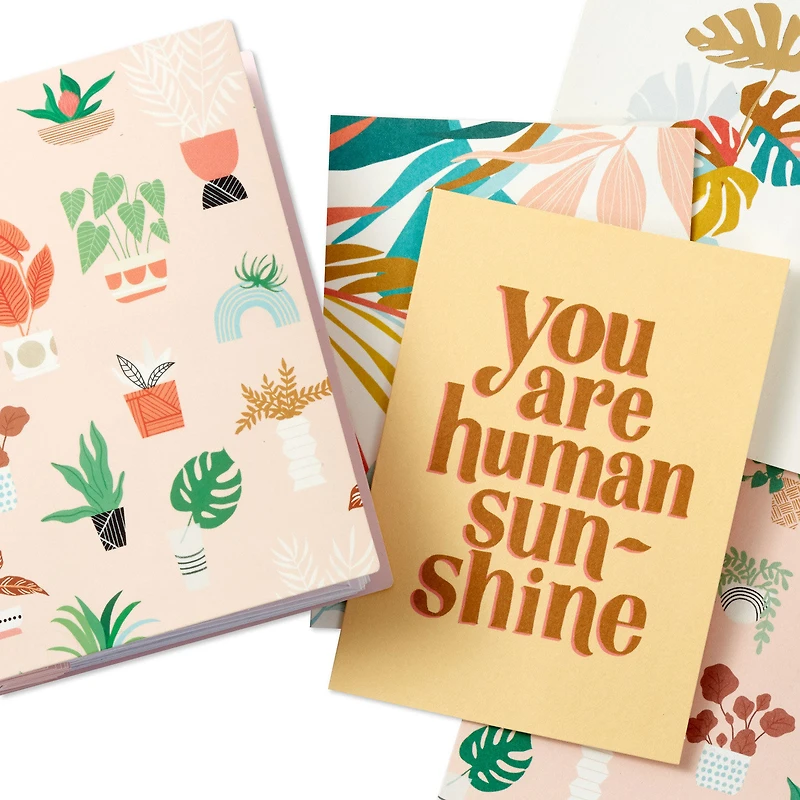 Soft Pastel Modern Wishes Booklet of Cards, Pack of 12 for only USD 14.99 | Hallmark