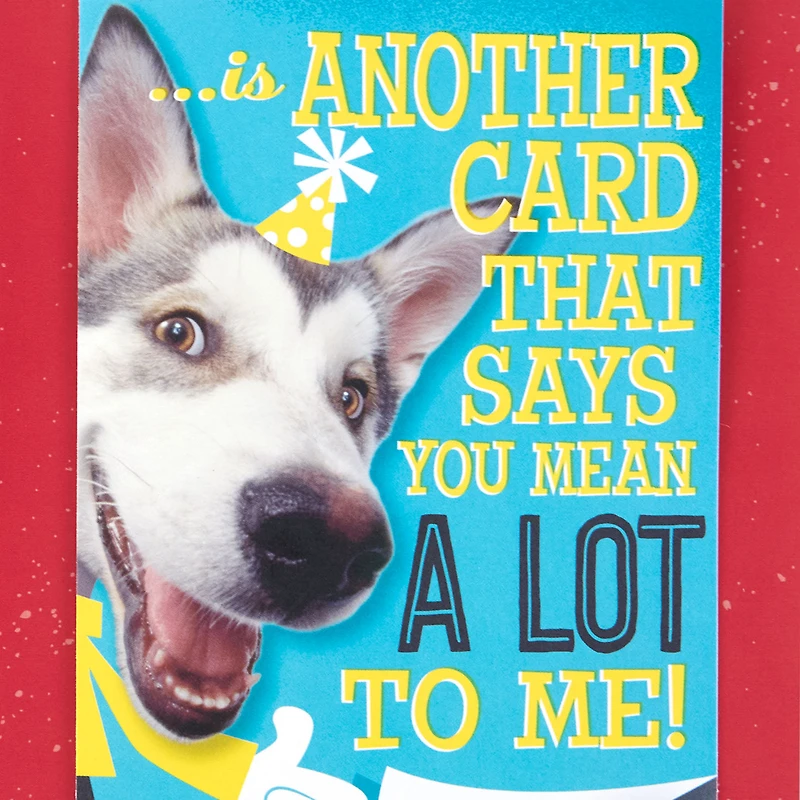 Hugging Dog Pop-Up Birthday Card With Mini Cards for only USD 6.59 | Hallmark