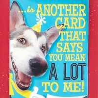 Hugging Dog Pop-Up Birthday Card With Mini Cards for only USD 6.59 | Hallmark