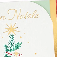 You Brighten the Year Italian-Language Christmas Card for only USD 4.59 | Hallmark