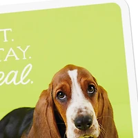 Sit, Stay, Heal Get Well Card for only USD 2.99 | Hallmark