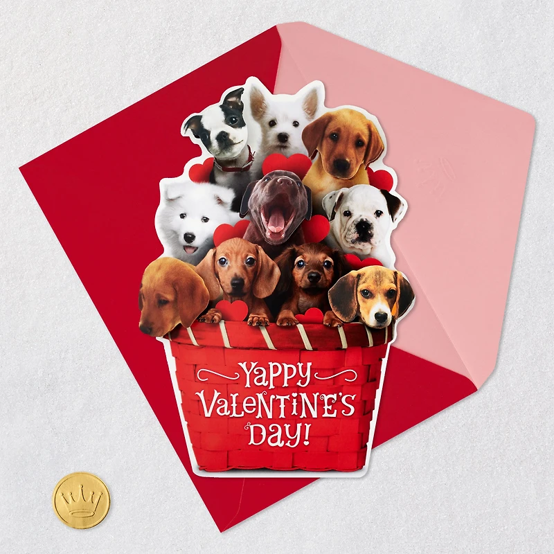 Puppy Dogs in Basket Funny Musical Valentine's Day Card for only USD 7.99 | Hallmark