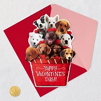 Puppy Dogs in Basket Funny Musical Valentine's Day Card for only USD 7.99 | Hallmark