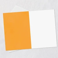 Stuff Cats Think About Pie Chart Funny Blank Card for only USD 3.99 | Hallmark