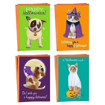 Pets in Costume Assorted Halloween Cards, Pack of 8 for only USD 6.99 | Hallmark