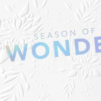 Snowflakes Season of Wonder Boxed Christmas Cards, Pack of 16 for only USD 17.49 | Hallmark