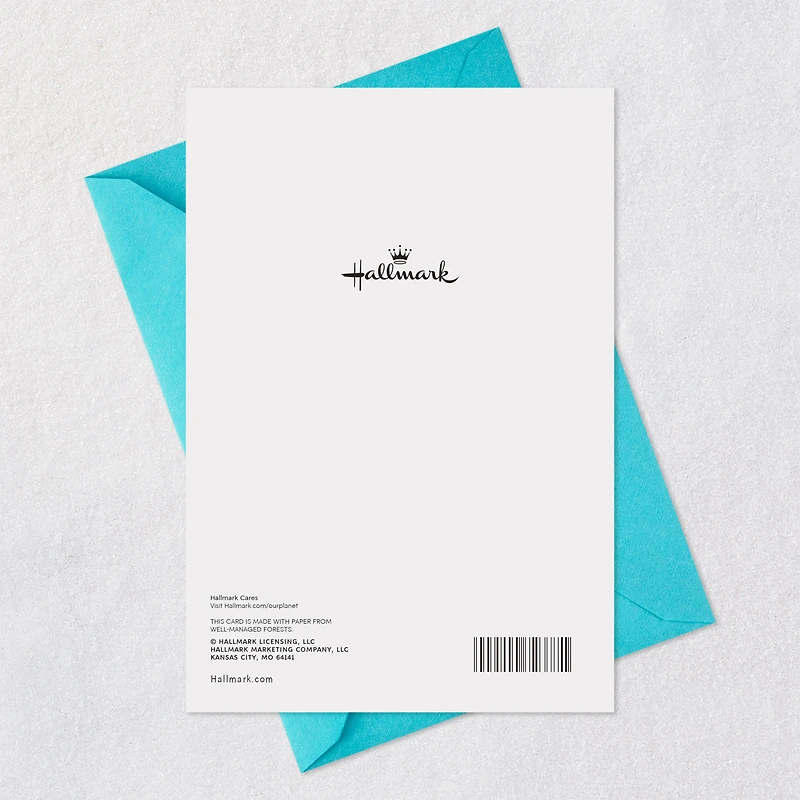 Make a Wish Birthday Card for only USD 0.99 | Hallmark