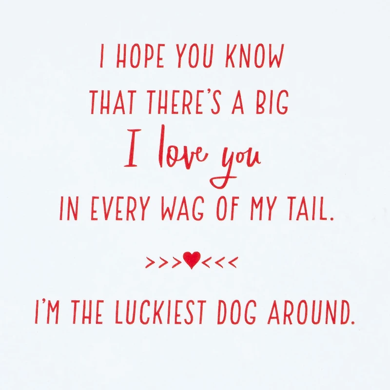 I'm the Luckiest Valentine's Day Card From the Dog for only USD 2.99 | Hallmark