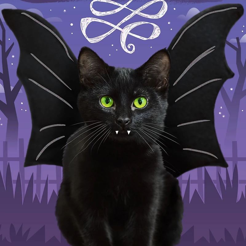 Scare Up Some Fun Black Cat Bat Halloween Card for only USD 0.99 | Hallmark