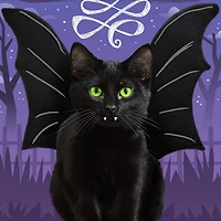 Scare Up Some Fun Black Cat Bat Halloween Card for only USD 0.99 | Hallmark