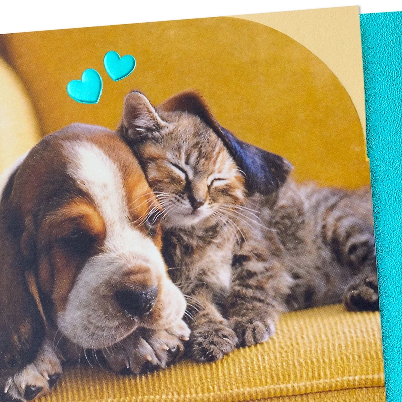Snoozing Puppy and Kitten Anniversary Card for only USD 4.59 | Hallmark