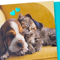 Snoozing Puppy and Kitten Anniversary Card for only USD 4.59 | Hallmark