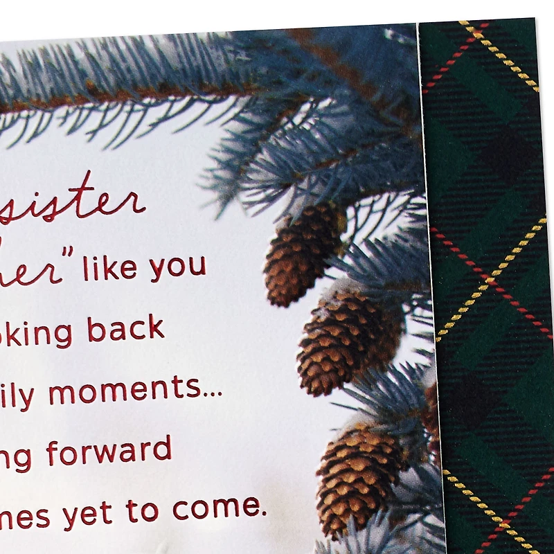 You Are Special Christmas Card for Sister and Brother-in-Law for only USD 4.59 | Hallmark