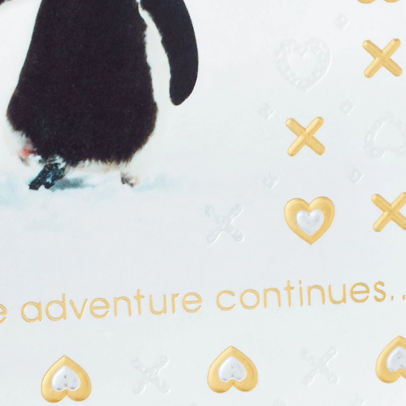Two Penguins Holding Hands Anniversary Card for Couple for only USD 5.59 | Hallmark