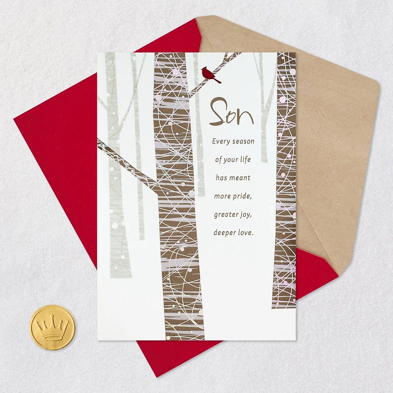 You Brighten the World Christmas Card for Son for only USD 5.59 | Hallmark