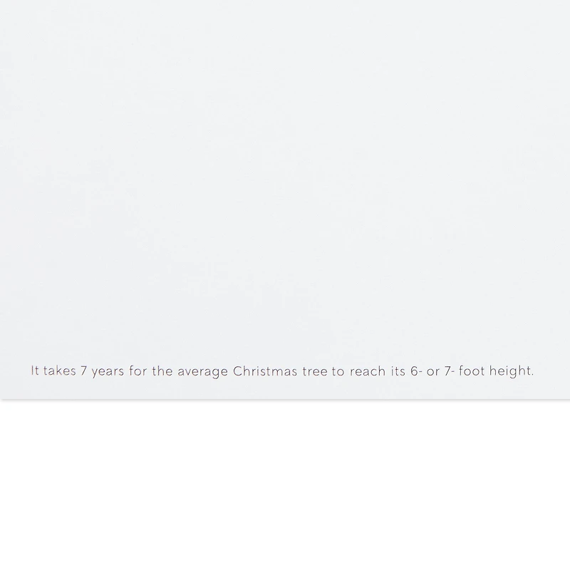 UNICEF Snowy Town Scene Boxed Christmas Cards, Pack of 12 for only USD 20.50 | Hallmark