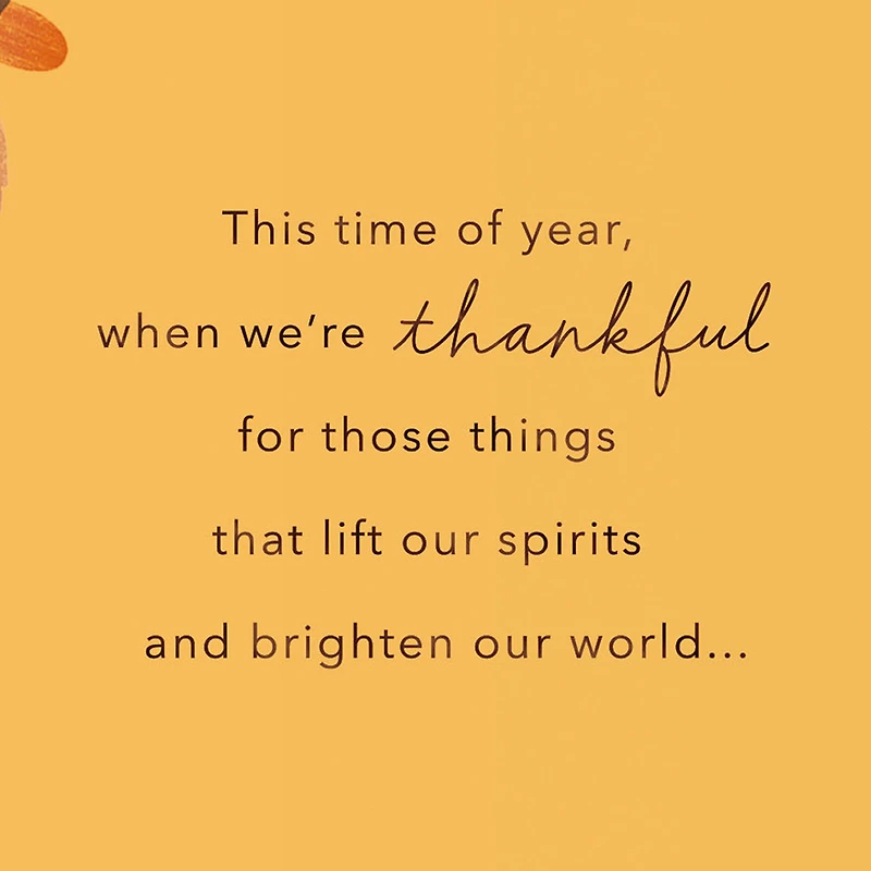 Especially Thankful for You Thanksgiving Card for only USD 2.99 | Hallmark