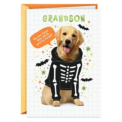Loved a Skele-Ton Halloween Card for Grandson for only USD 2.99 | Hallmark