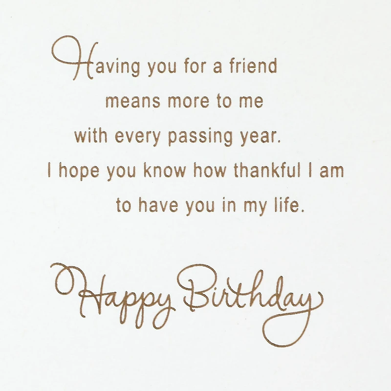 A Friend Like You Means So Much Birthday Card for Friend for only USD 8.59 | Hallmark