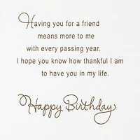 A Friend Like You Means So Much Birthday Card for Friend for only USD 8.59 | Hallmark
