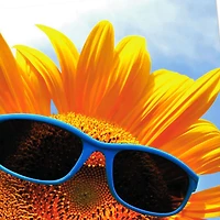 Sunflower in Sunglasses Thinking of You Card for only USD 3.99 | Hallmark