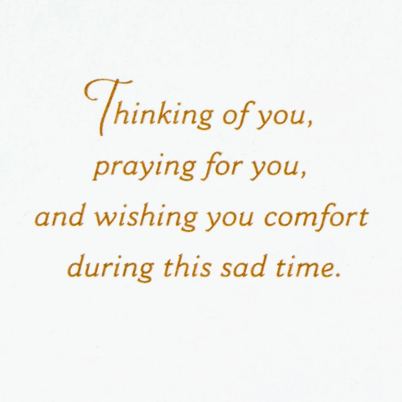Praying for Comfort at this Sad Time Sympathy Card for only USD 4.59 | Hallmark