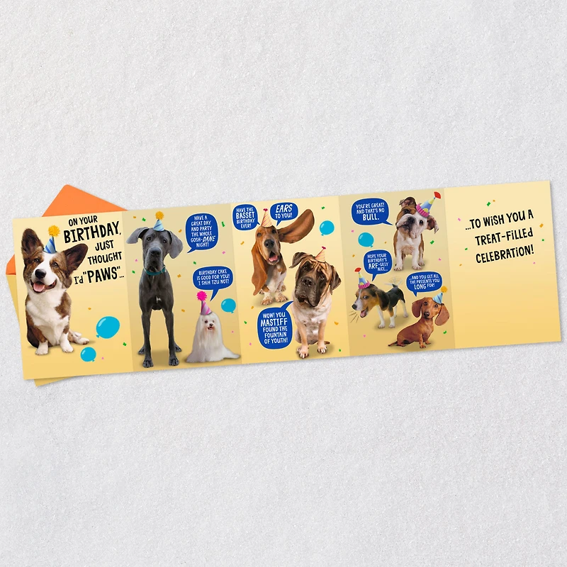 Wishing You a Treat-Filled Celebration Funny Birthday Card for only USD 4.59 | Hallmark