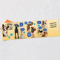 Wishing You a Treat-Filled Celebration Funny Birthday Card for only USD 4.59 | Hallmark