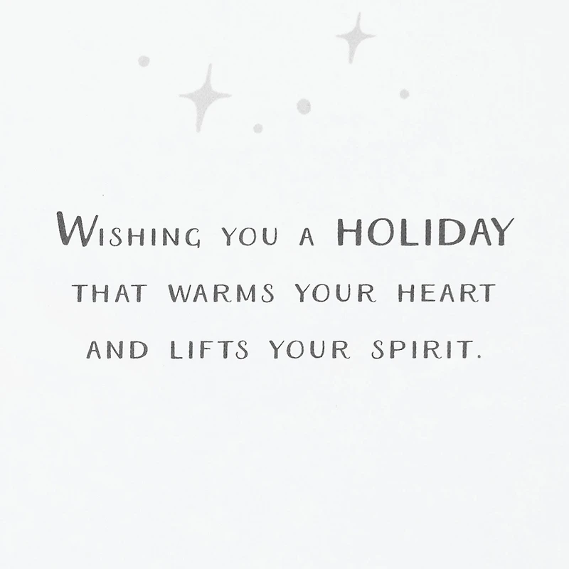 Dove on Watercolor Wreath Boxed Christmas Cards, Pack of 16 for only USD 15.49 | Hallmark