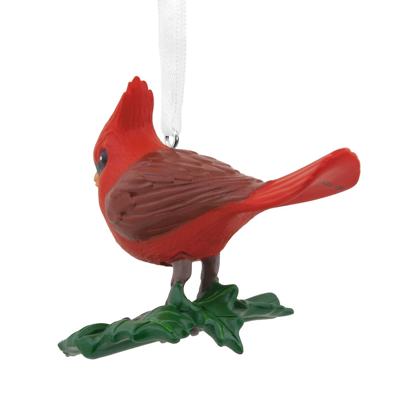 Cardinal Bird Hallmark Ornament for only USD 14.99 | Hallmark