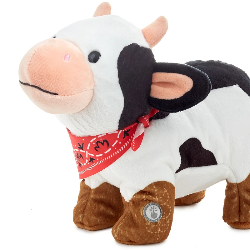 Spotted Cow in Boots Plush With Sound and Motion, 9" for only USD 39.99 | Hallmark