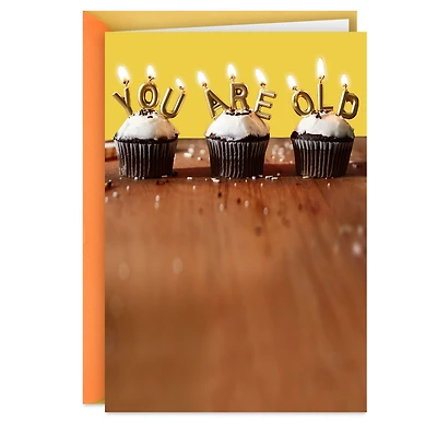 You Are Old Birthday Card for only USD 3.99 | Hallmark