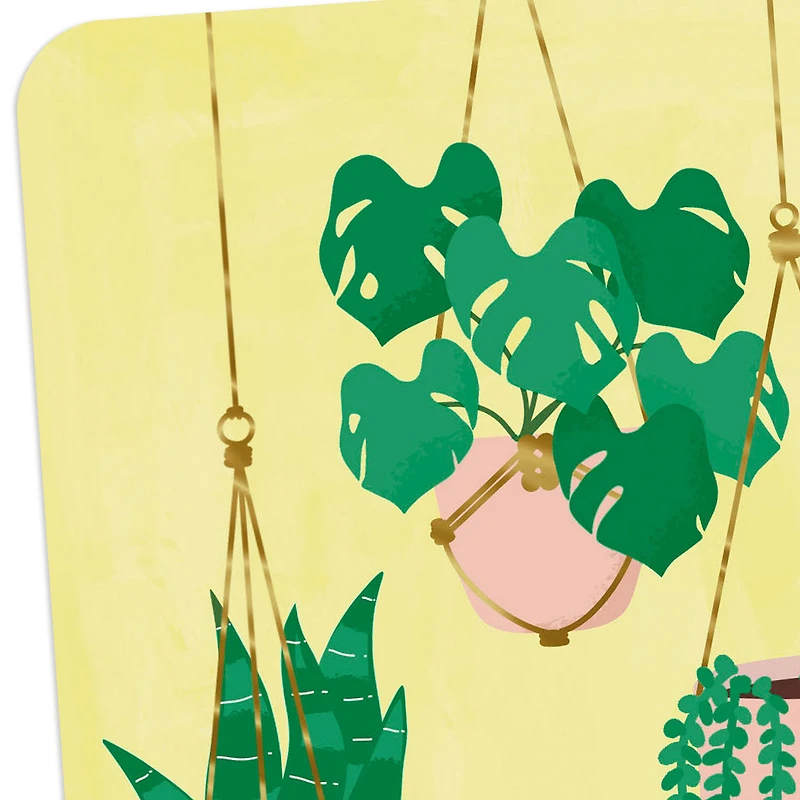 Houseplants in Hanging Baskets Blank Card for only USD 2.99 | Hallmark