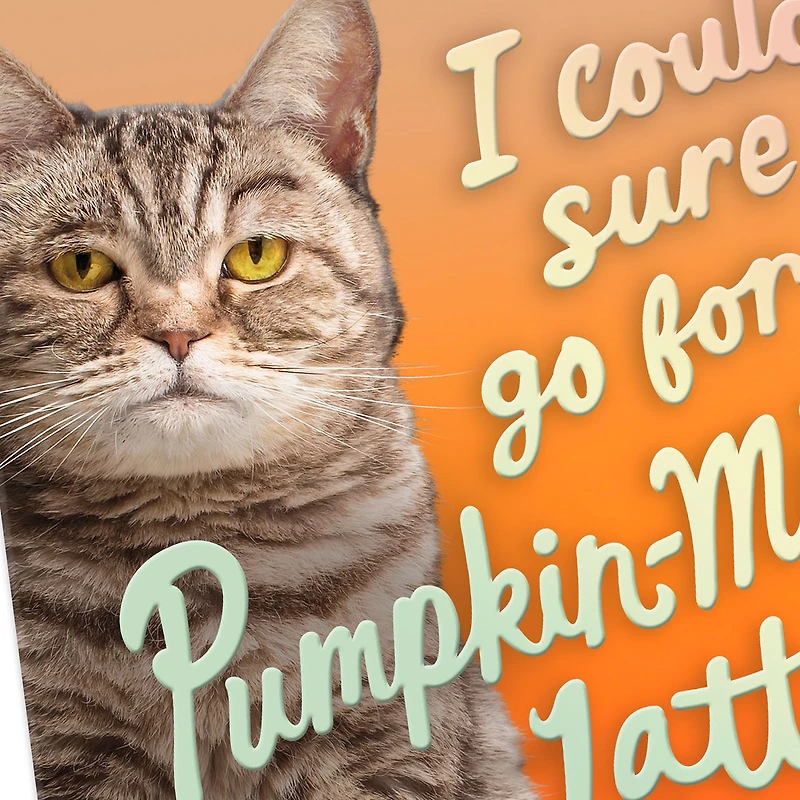 Pumpkin-Mice Latte Funny Halloween Card for only USD 3.99 | Hallmark
