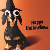 Happy Hallowiener Mug, 16 oz. for only USD 16.99 | Hallmark