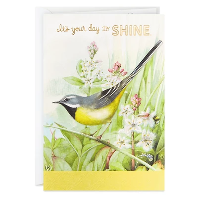 Marjolein Bastin It's Your Day to Shine Birthday Card for only USD 3.99 | Hallmark