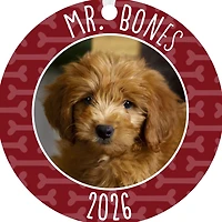 Pet Round Metal Personalized Ornament, Custom Photo and Text for only USD 17.99 | Hallmark