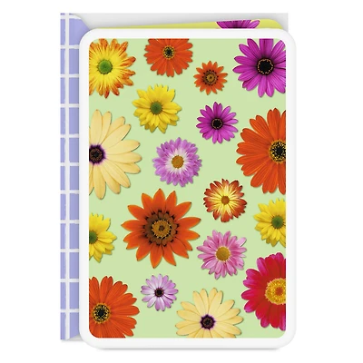 Colorful Daisies Blank Card for only USD 2.99 | Hallmark