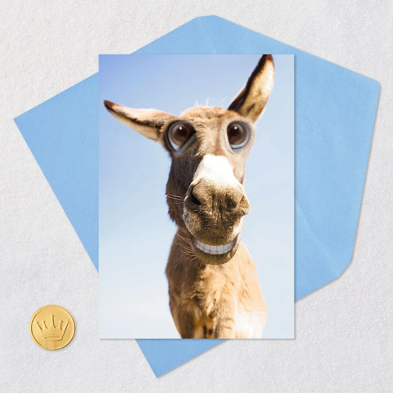 Whatever Makes Your Ass Happy Funny Birthday Card for only USD 3.99 | Hallmark