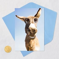 Whatever Makes Your Ass Happy Funny Birthday Card for only USD 3.99 | Hallmark